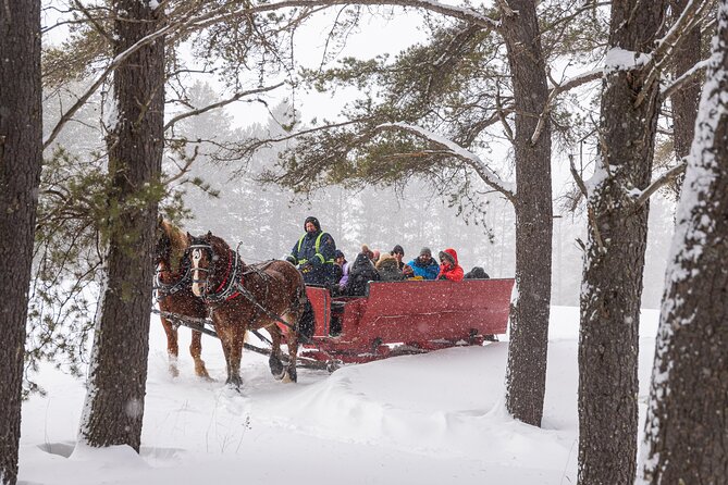 Tremblant Sleighride - Key Details Before You Book