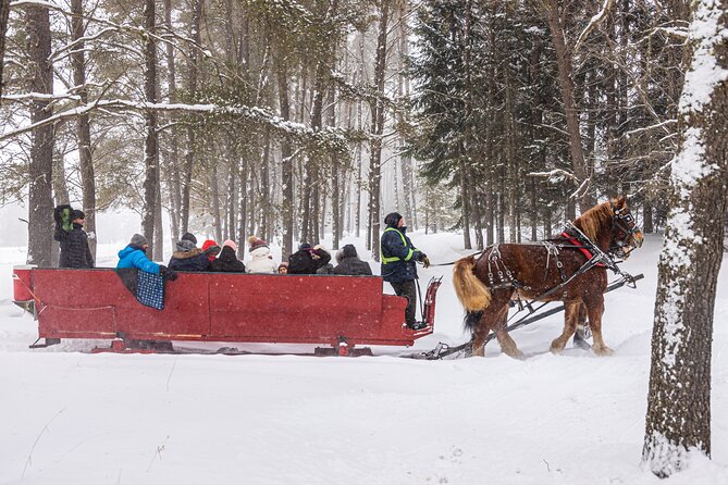 Tremblant Sleighride - Is $45.20 a Fair Price?
