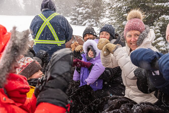 Tremblant Sleighride - Across Open Fields and the Old Gray Rocks Course