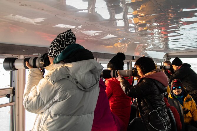 Tundra Buggy Autumn Day Tours - Group size, comfort, and who will enjoy it