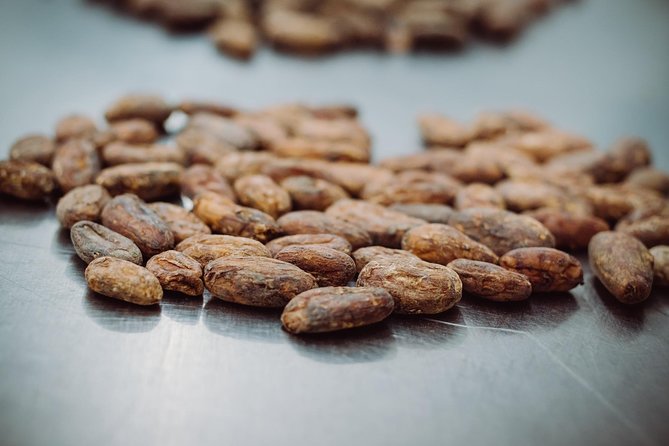 Ultimate Chocolate Tour in Montreal with Included Tastings - Cocktails, cacao, and a surprising Mile-Ex stop