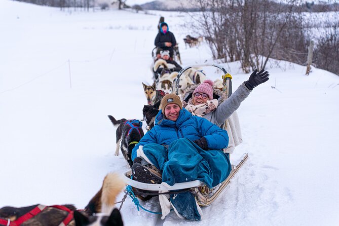 Ultimate Dog Sledding Tour - Day trip from Ottawa & Gatineau - One full hour of dog sledding