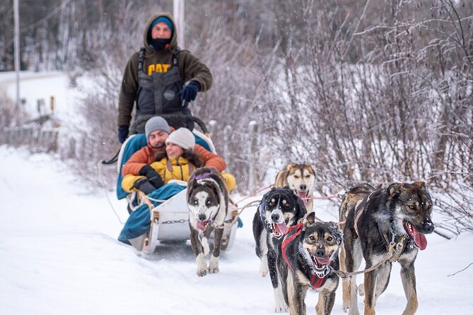 Ultimate Dog Sledding Tour - Day trip from Ottawa & Gatineau - Walking to the waterfall in Thurso