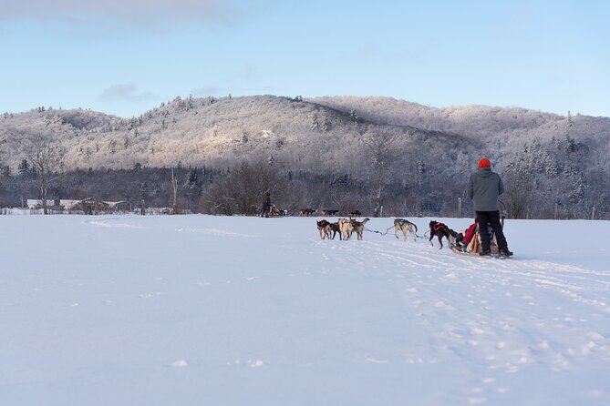 Ultimate Dog Sledding Tour - Day trip from Ottawa & Gatineau - What the $213.55 price really covers