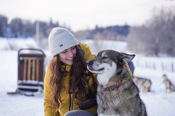 Ultimate Dog Sledding Tour - Day trip from Ottawa & Gatineau - Who will enjoy this tour most
