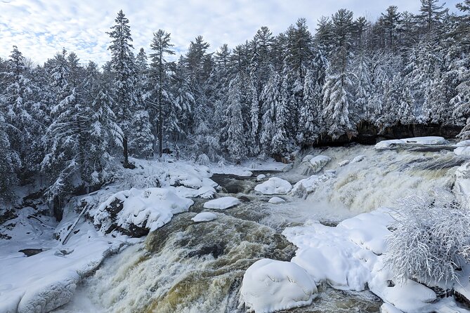 Ultimate Dog Sledding Tour - Day trip from Ottawa & Gatineau - What to bring and what to confirm