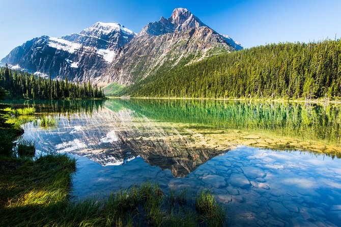 Ultimate Jasper Nature Walk - Five things to know before you book