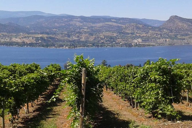 Unmatched Private Wine Tours for Up to 11 in Kelowna Area - Indigenous World Winery offers something beyond wine