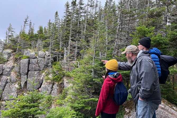 UTV/Side-by-Side Trail Tour to Cape Clear Look-off - Starting at 1072 Cabot Trail in Hunters Mountain
