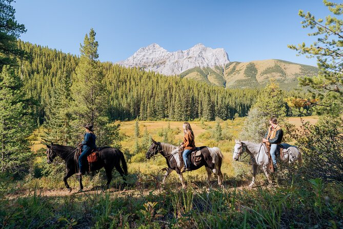 Valley Vista 1.5 Hour Horseback Trail Ride in Kananaskis - Starting Through the Aspen Grove