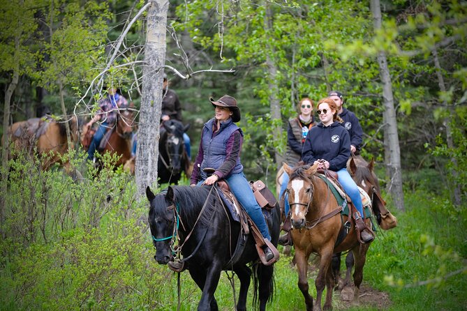 Valley Vista 1.5 Hour Horseback Trail Ride in Kananaskis - Who Will Get the Most From the $122.95 Price?
