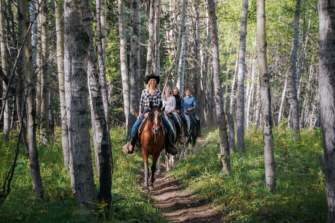 Valley Vista 1.5 Hour Horseback Trail Ride in Kananaskis - Climbing Past the Pond Toward Mount Kidd