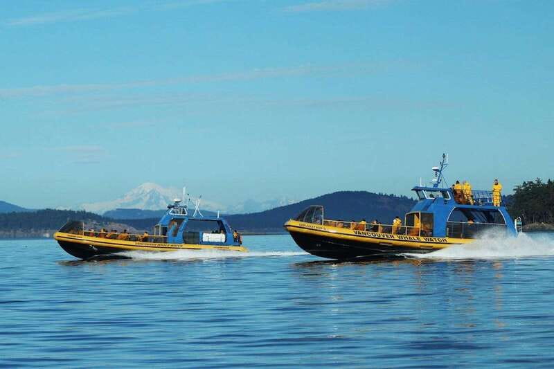 Vancouver, BC: Whale Watching Tour with Guide - Getting aboard the custom whale watching boat
