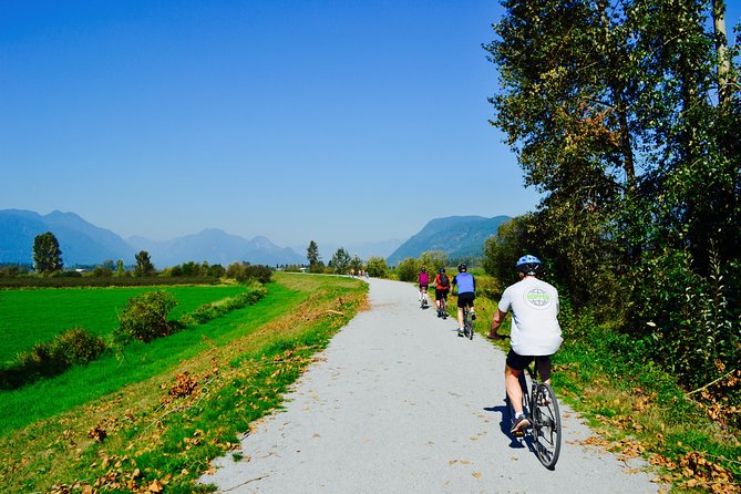 Vancouver Biking and Hiking Tour including Lunch - Why this tour works so well