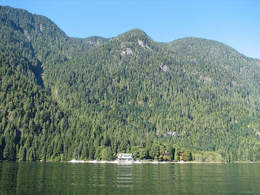 Vancouver Brunch Cruise - The open-air top deck is the place to linger