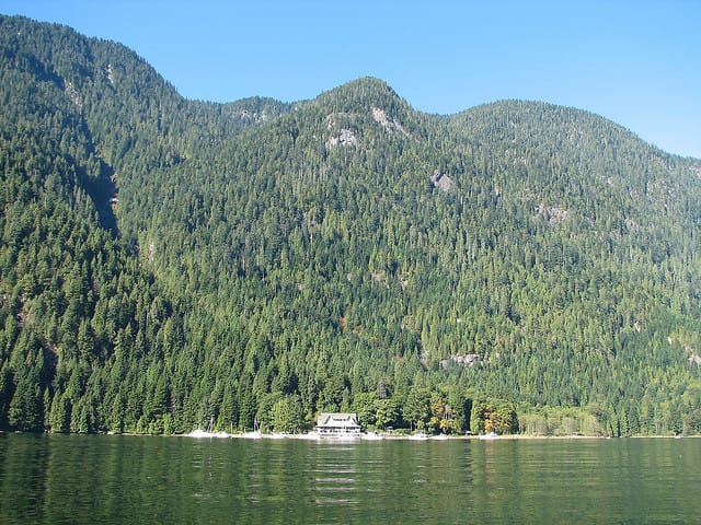 Vancouver Brunch Cruise - Practical tips for a smoother day