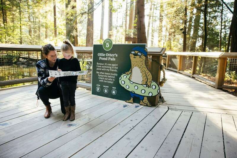 Vancouver: Capilano Suspension Bridge Park Ticket - Is $59 good value?