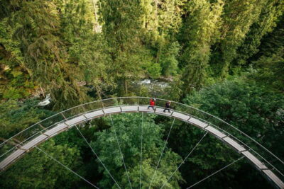 Capilano Suspension Bridge Park Ticket
