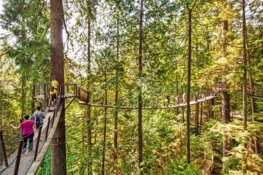Vancouver: Capilano Suspension Bridge Park Ticket - Cliffwalk puts you against the canyon wall