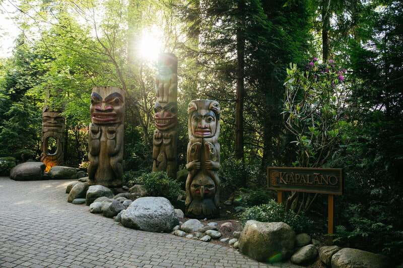 Vancouver: Capilano Suspension Bridge Park Ticket - Rain, seasons, and the best time to visit