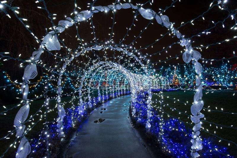 Vancouver Christmas Lights Karaoke Trolley Tour - Key points to know before booking