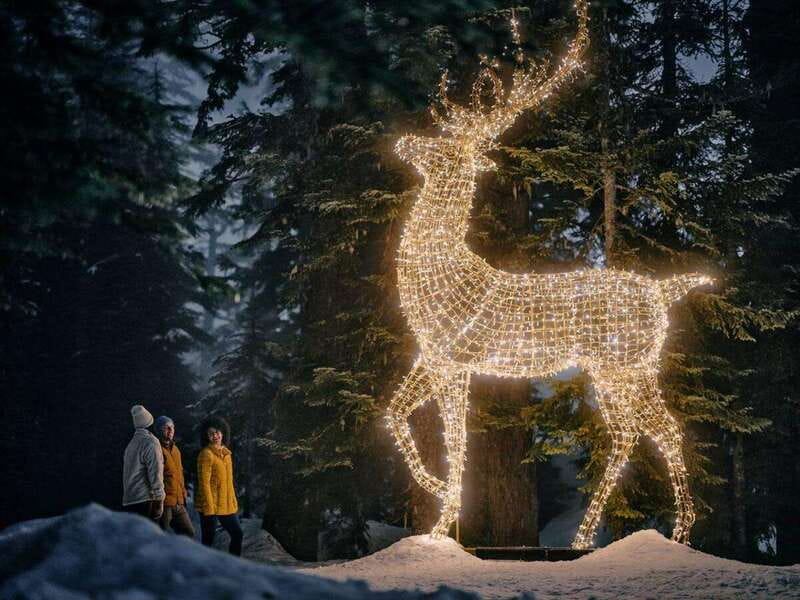 Vancouver Christmas Lights Karaoke Trolley Tour - Lights of Hope closes the route