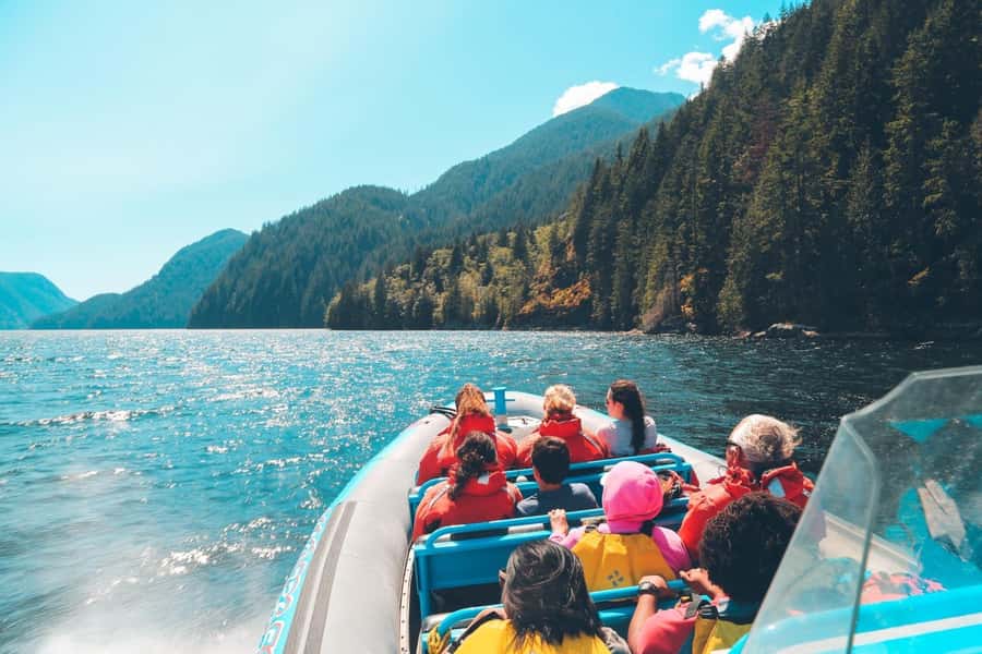Vancouver: City and Seals Boat Tour - Under the Lions Gate Bridge