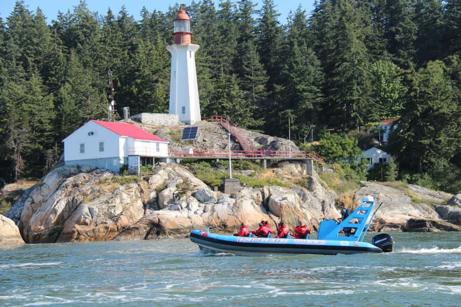 Vancouver: City and Seals Boat Tour - English Bay and Vancouver’s changing viewpoint