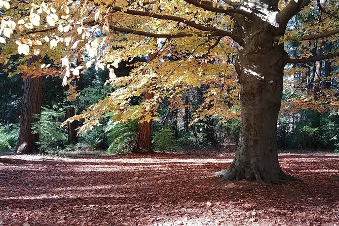 Vancouver City Highlights Explorer Private Tour - Why this tour works well on a first day