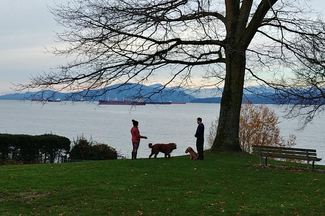Vancouver City Highlights Explorer Private Tour - Chinatown and Gastown: Vancouver’s older streets