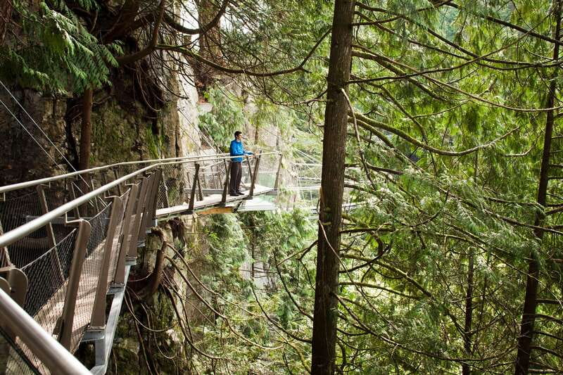 Vancouver: City+Lookout+Capilano Suspension Bridge Ticket - What this Vancouver tour is really designed to do