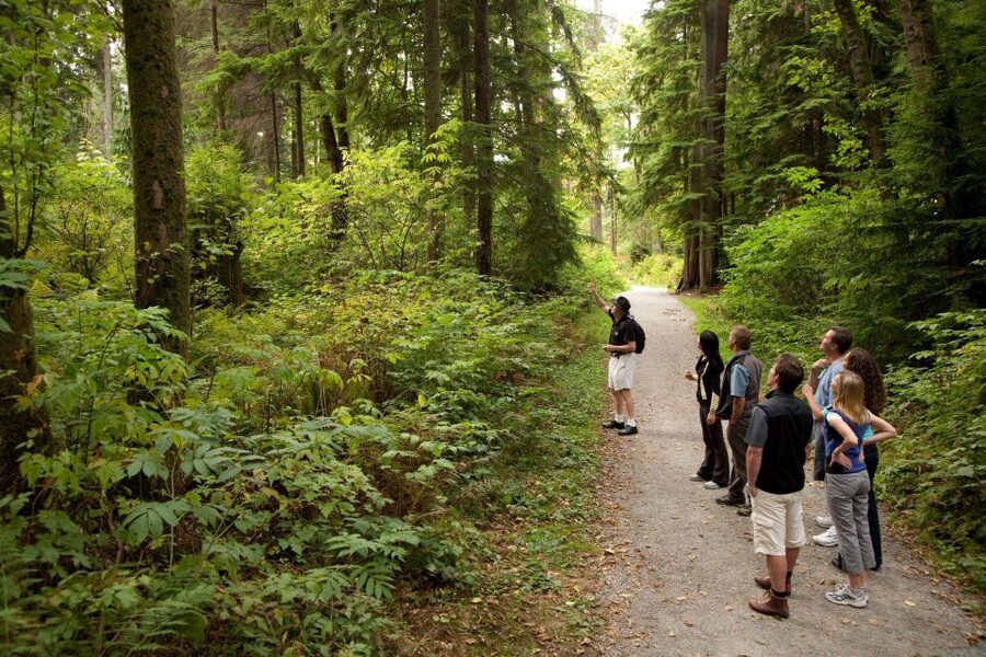 Vancouver: City + Lookout Tour & Option to Add YVR Drop-Off - Who should book this tour?