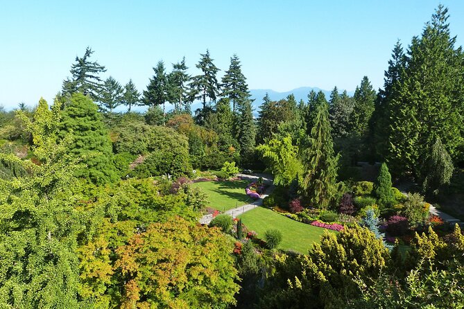 Vancouver City Tour with Admission to Lookout Tower - Granville Island: One Hour for Food and Browsing