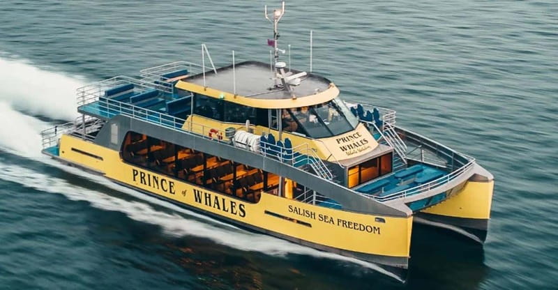 Vancouver: Covered Whale Watching Adventure with Free Photos - Heated Cabin, Outdoor Decks, and Hot Drinks