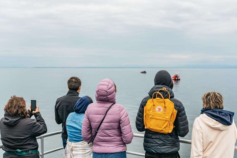 Vancouver: Covered Whale Watching Adventure with Free Photos - What the Crew Does Best