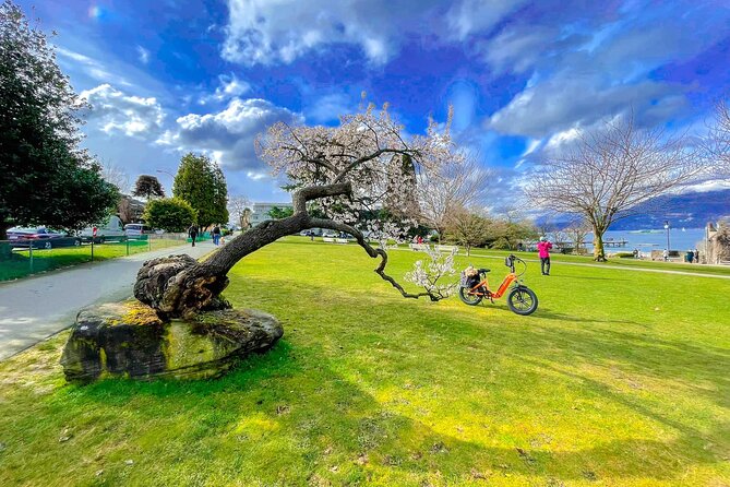 Vancouver E-Bike Rentals - Premium Seawall Bike Path Location - Self-guided freedom, with a little planning