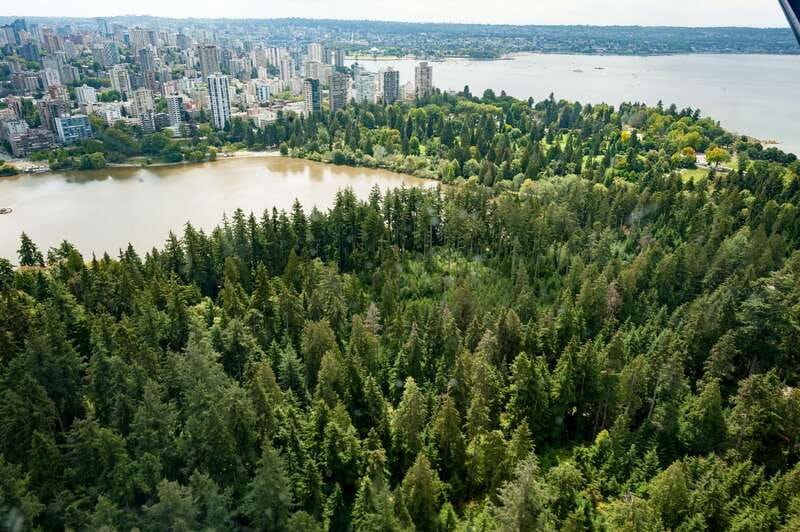 Vancouver: Extended Scenic Panorama Seaplane Tour - Practical tips for a better seat and better views