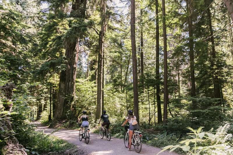 Vancouver: Guided Bike Tour - Stanley Park, where the city gives way to trees