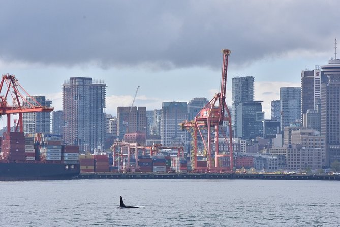 Vancouver Half-Day Whale Watching Adventure with Free Photos - What the naturalists add to the day