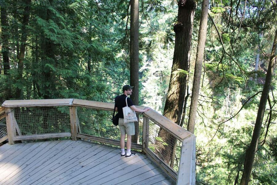 Vancouver Highlights: Capilano Bridge & Granville Island - Why this half-day route works in Vancouver