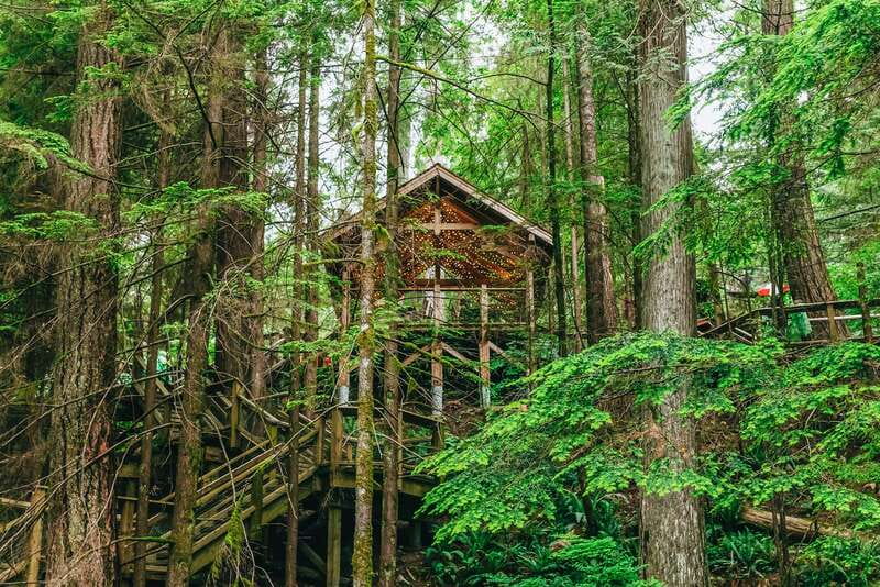 Vancouver Highlights: Capilano Bridge & Granville Island - Capilano Suspension Bridge Park: the tour’s main event