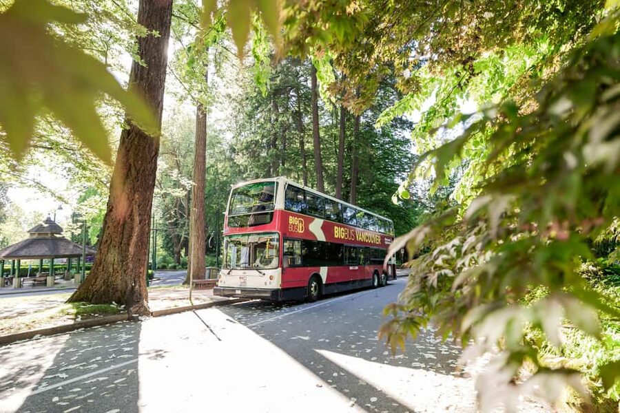 Vancouver: Hop-on Hop-off Sightseeing Tour with 10 Stops - Stanley Park deserves more than a quick pass