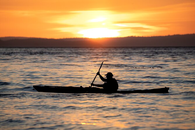 Vancouver Island: 2-Hour Evening Kayak Tour from Telegraph Cove - Key things to know before you paddle