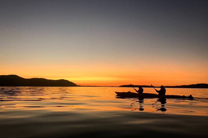 Vancouver Island: 2-Hour Evening Kayak Tour from Telegraph Cove - Paddling the Johnstone Strait beside a guide