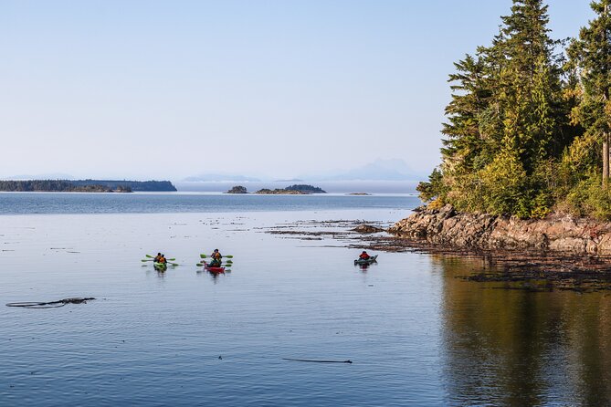Vancouver Island: 2-Hour Evening Kayak Tour from Telegraph Cove - What the $80.17 price really covers