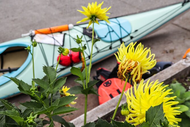 Vancouver Island: 2-Hour Evening Kayak Tour from Telegraph Cove - Who will enjoy this kayak tour most