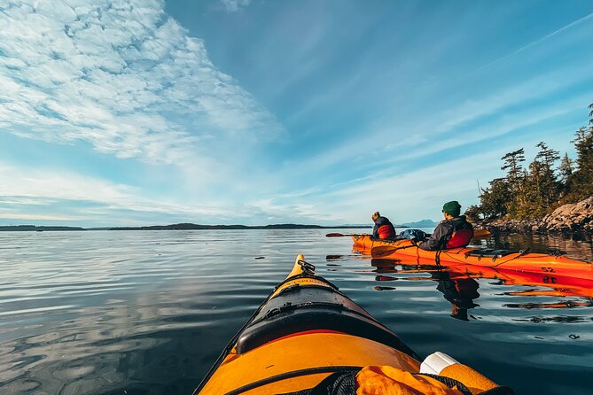 Vancouver Island: 2-Hour Evening Kayak Tour from Telegraph Cove - Wildlife that can make the evening special