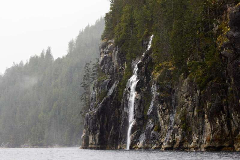 Vancouver Island: Full-Day Grizzly Bear Tour at Toba Inlet - Key points at a glance