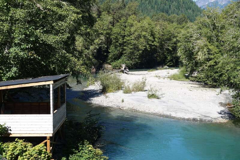 Vancouver Island: Full-Day Grizzly Bear Tour at Toba Inlet - Why the small group matters