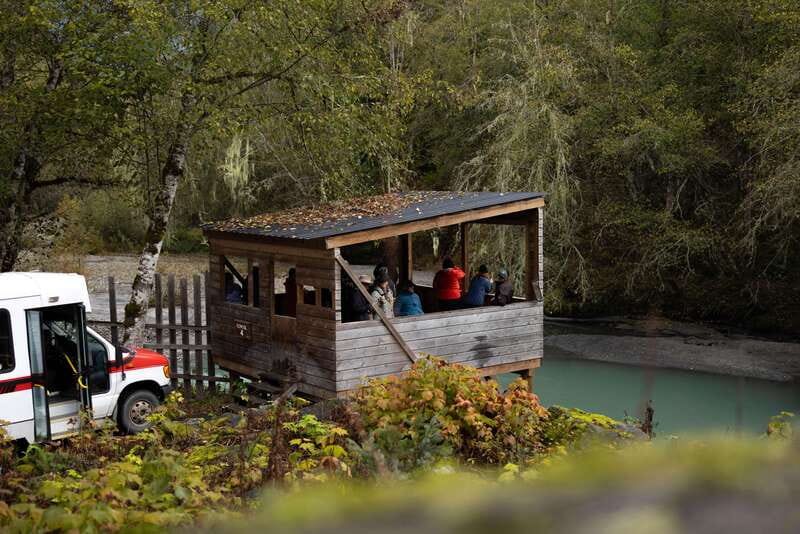 Vancouver Island: Full-Day Grizzly Bear Tour at Toba Inlet - The guides and the tone of the day